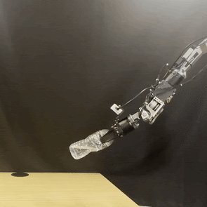 Bottle Flip
